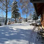 Petzl Huette - Kreischbergblick *