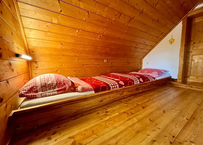 度假居 Petzl Huette - Kreischbergblick