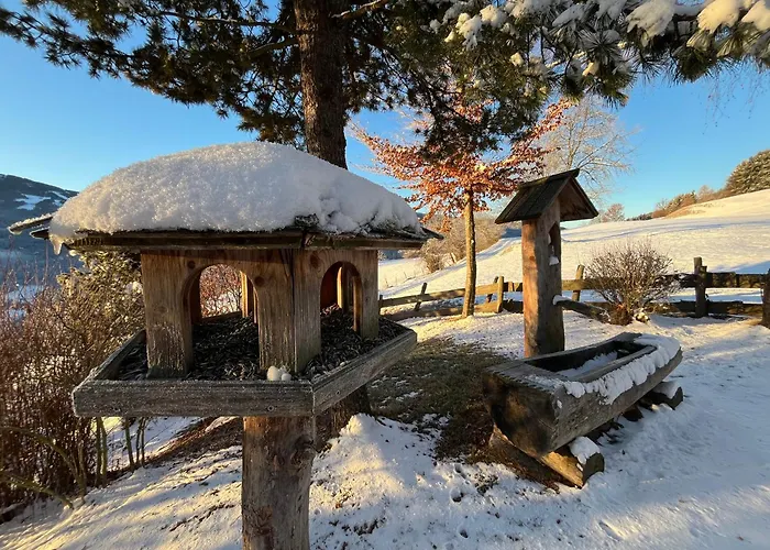 Petzl Huette - Kreischbergblick 度假居