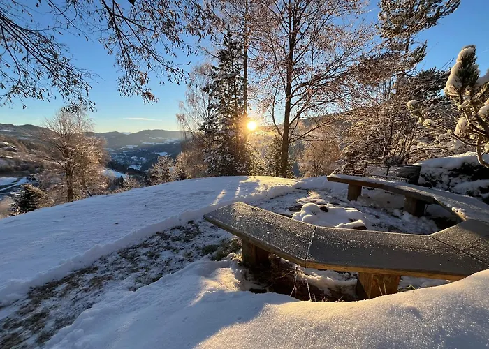 度假居 Petzl Huette - Kreischbergblick *