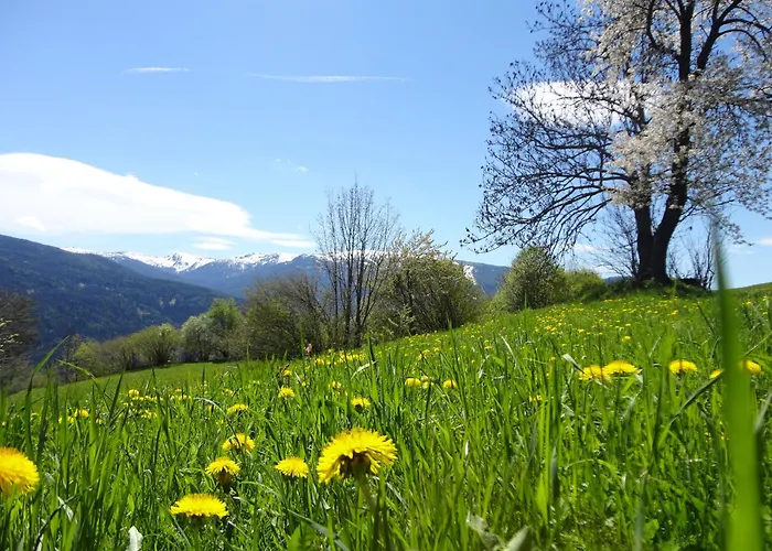 Petzl Huette - Kreischbergblick 度假居 Kaindorf (Murau)
