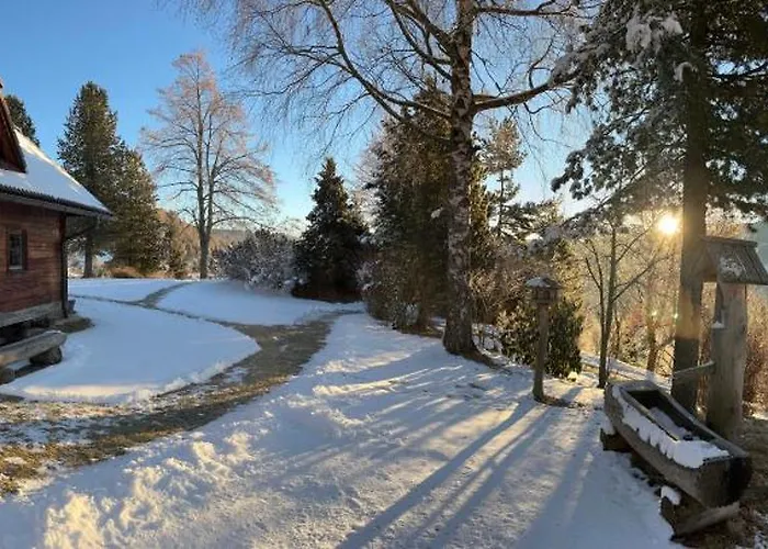 Ferienhaus Petzl Hütte - Kreischbergblick